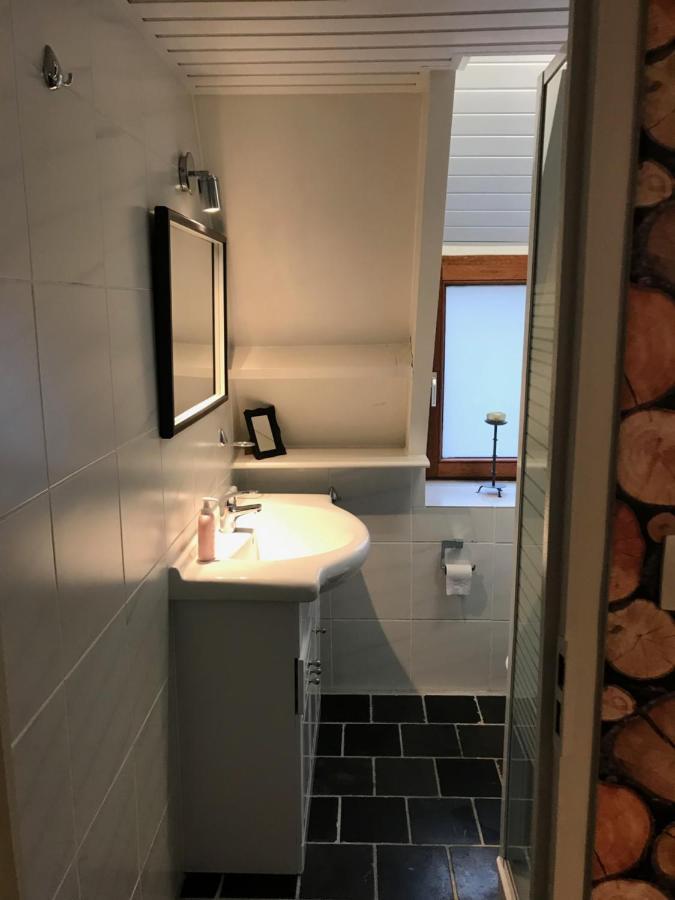Vila Heavenly Renovated Cabin Near Pittoresque Durbuy - Whistler Exteriér fotografie
