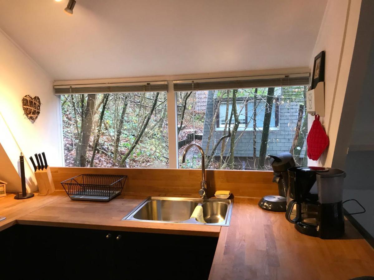 Vila Heavenly Renovated Cabin Near Pittoresque Durbuy - Whistler Exteriér fotografie